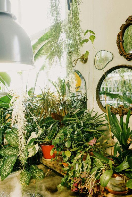 The Ultimate Guide to Creating an Indoor Vertical Garden Wall